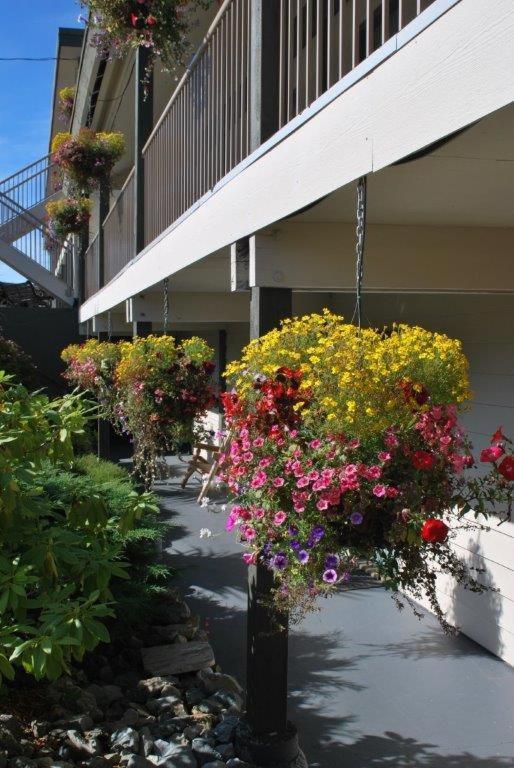 Pacific Rim Motel Ucluelet Extérieur photo