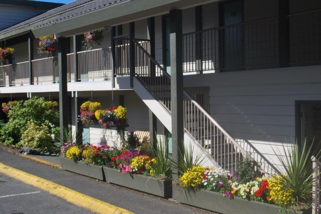 Pacific Rim Motel Ucluelet Extérieur photo