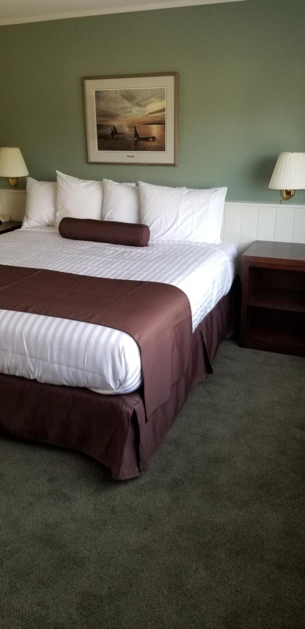 Pacific Rim Motel Ucluelet Extérieur photo